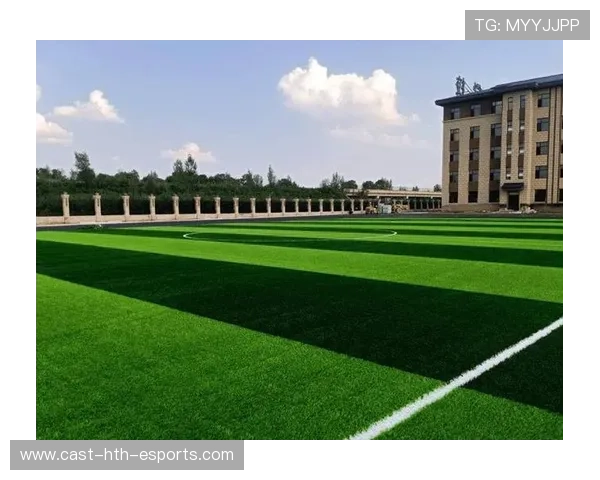 比赛在人工草场举行，速度与策略并重，国际比赛可以使用人工草坪吗
